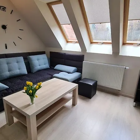 Apartment Lux Duplex Polanica-Zdroj